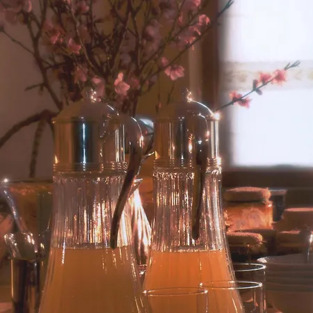 罗坎达特里森托酒店 萨普里